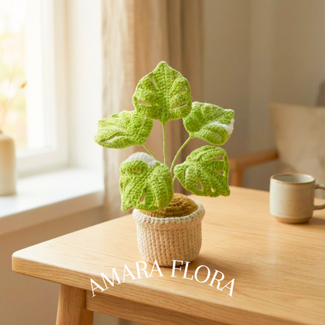 Monstera Green & White