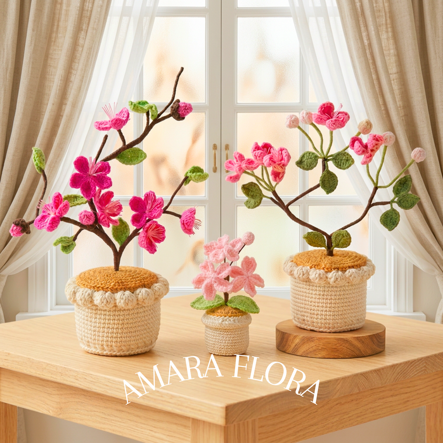Sora Cherry Blossom
