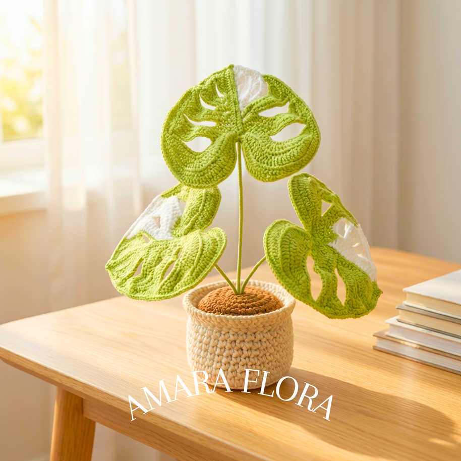 Monstera Plant - White Leaves