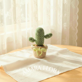Tall Cactus