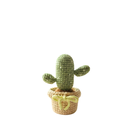 Tall Cactus