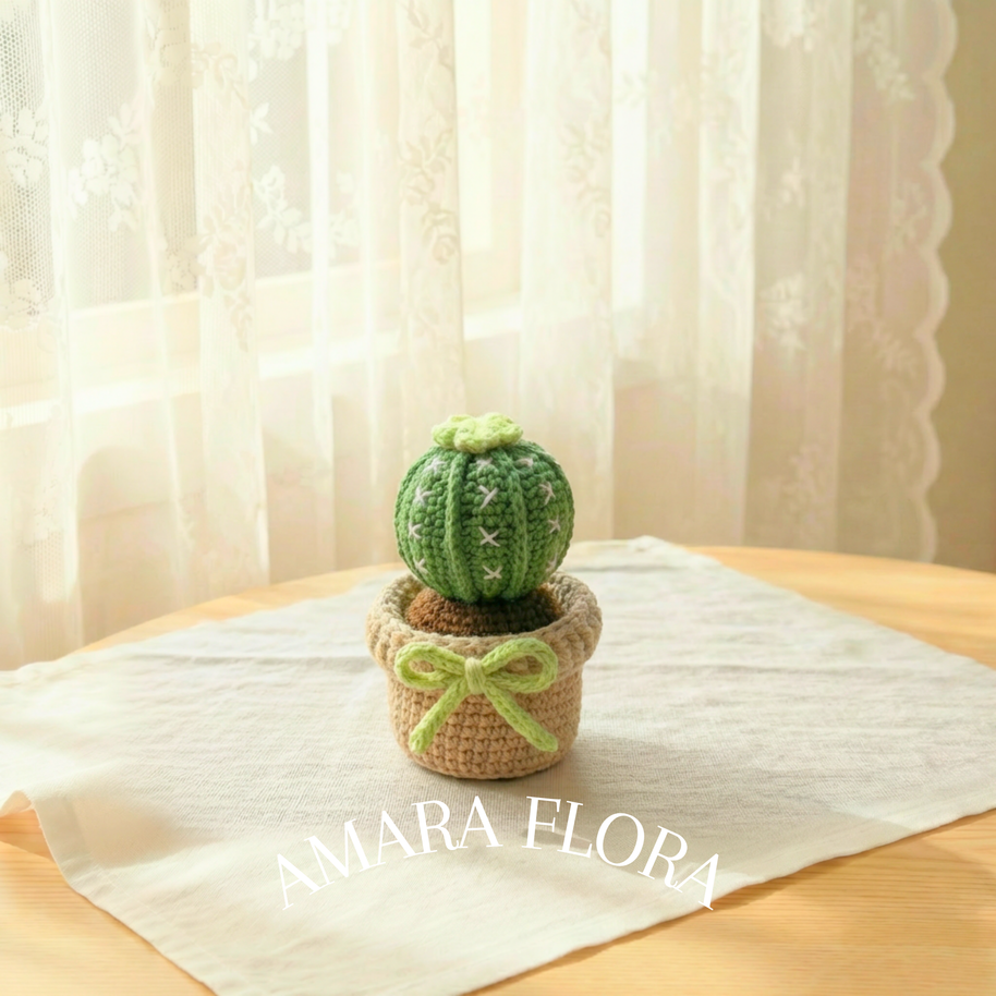 Mini Round Cactus