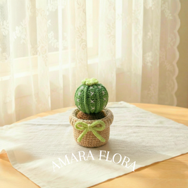 Mini Round Cactus