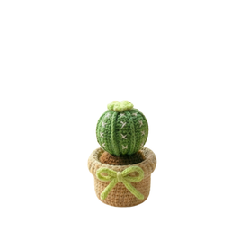 Mini Round Cactus
