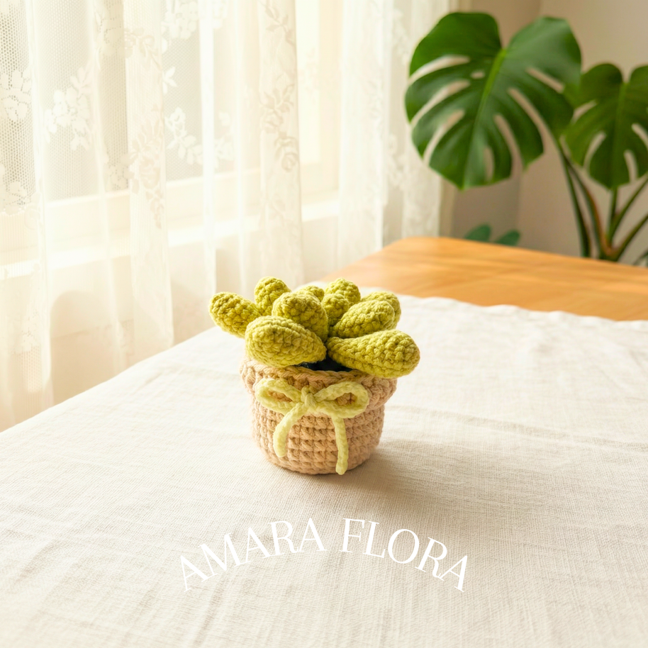 Cluster Cactus