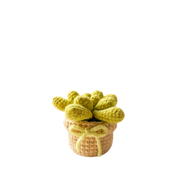 Cluster Cactus