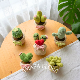 Cluster Cactus
