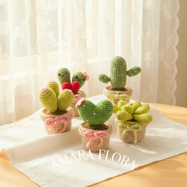 Heart Cactus