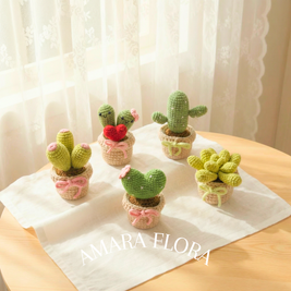 Cluster Cactus