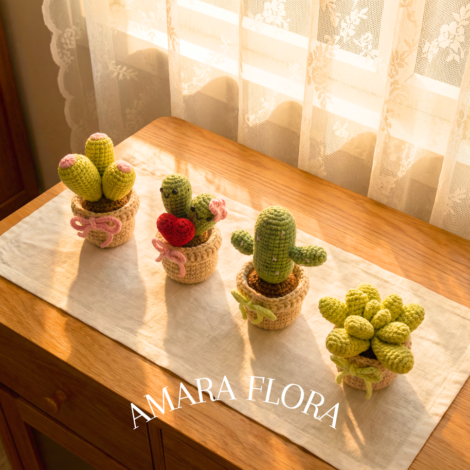 Mini Round Cactus
