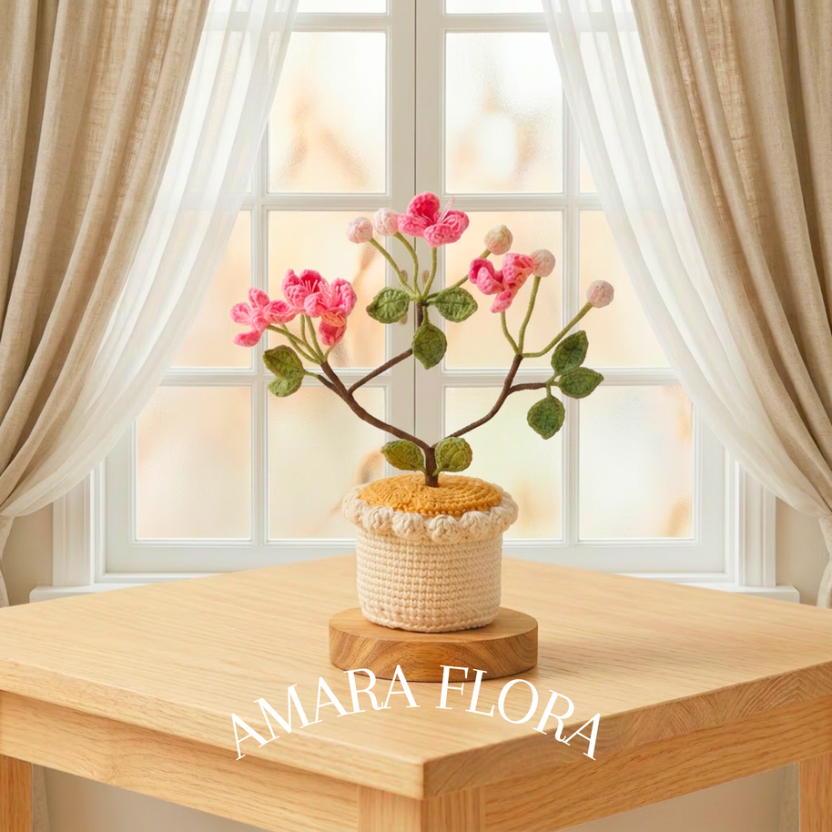 Sora Cherry Blossom