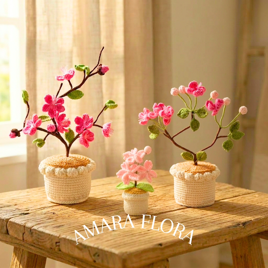Sakura Cherry Bloom