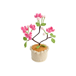 Sora Cherry Blossom