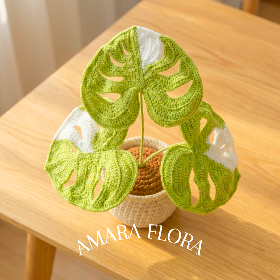 Monstera Plant - White Leaves