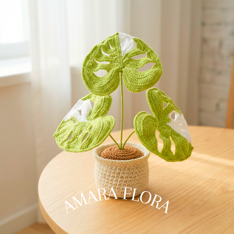 Monstera Plant - White Leaves