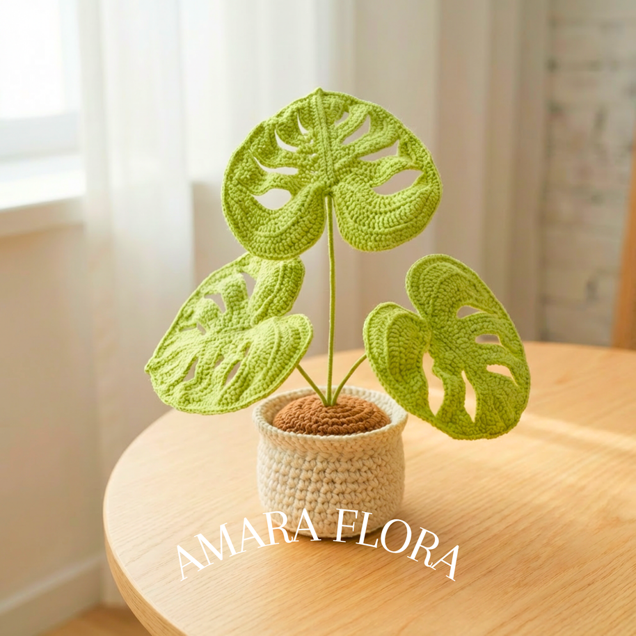 Monstera Plant - Plain Leaves