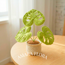 Monstera Plant - Plain Leaves