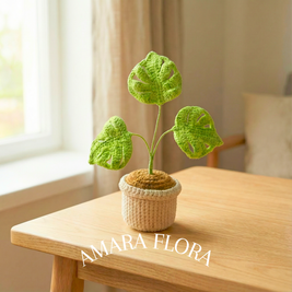 Monstera Green