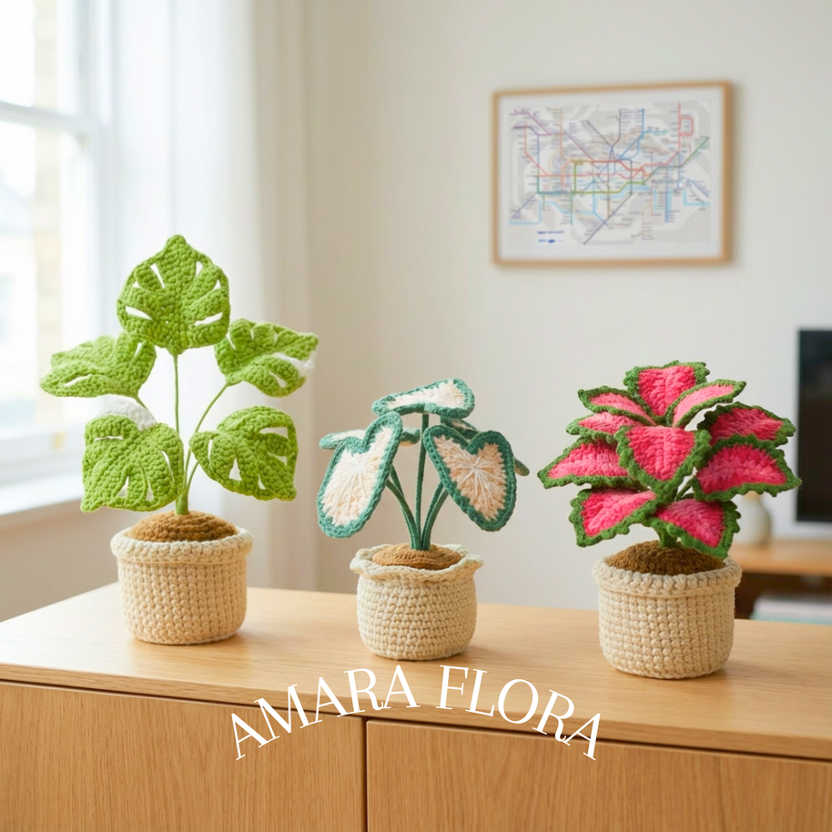 Monstera Green & White
