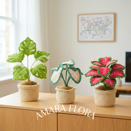 Monstera Green & White