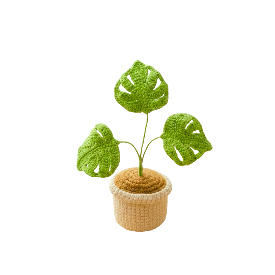 Monstera Green