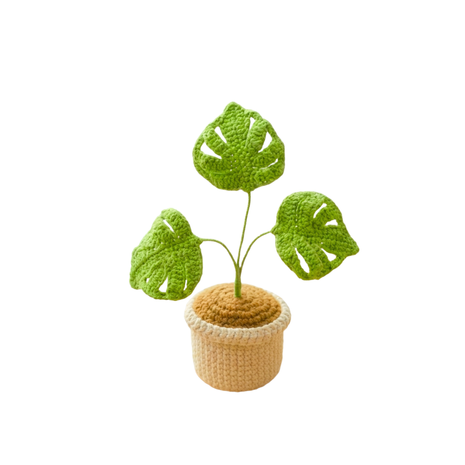 Monstera Green