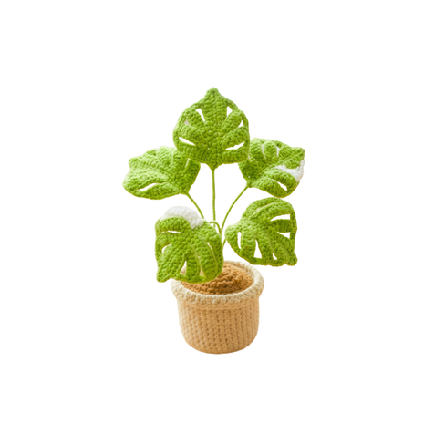 Monstera Green & White