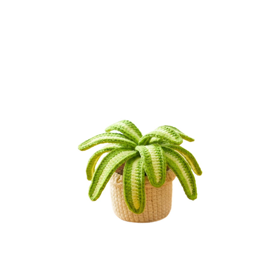 Crochet Spider Plants