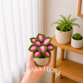 Crochet Coleus Plant - Pink & Green