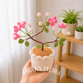 Sora Cherry Blossom