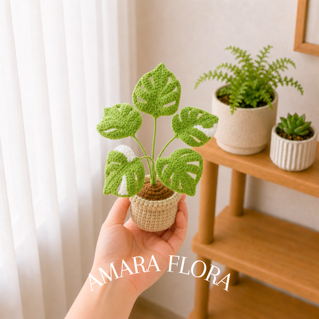 Monstera Green & White
