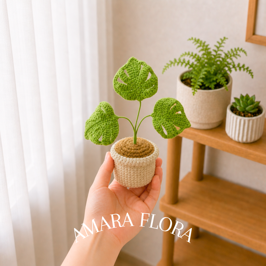 Monstera Green