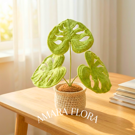 Monstera Plant - Plain Leaves