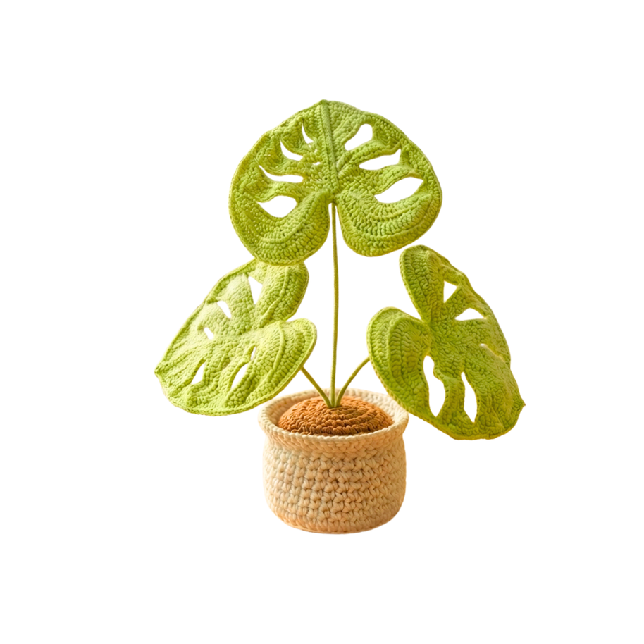 Monstera Plant - Plain Leaves