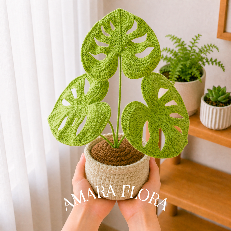 Monstera Plant - Plain Leaves