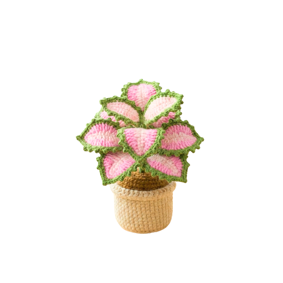 Crochet Coleus Plant - Pink
