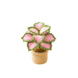 Crochet Coleus Plant - Pink