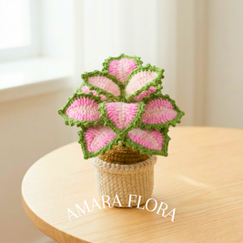 Crochet Coleus Plant - Pink