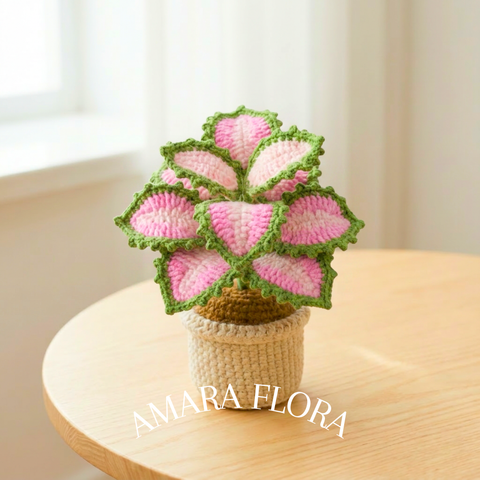 Crochet Coleus Plant - Pink