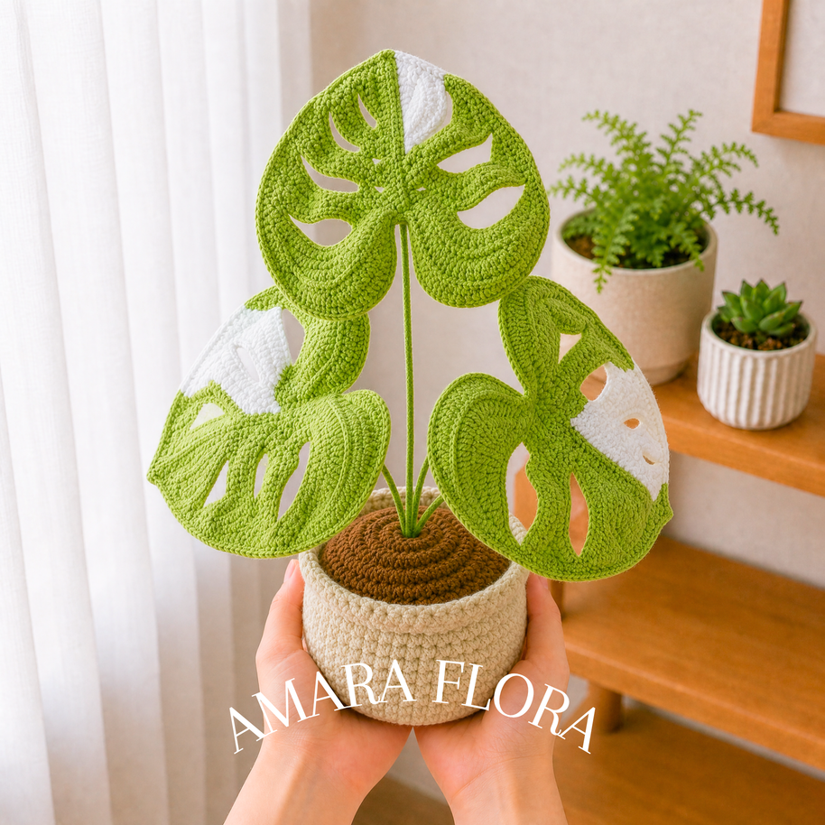 Monstera Plant - White Leaves
