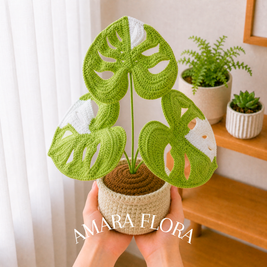 Monstera Plant - White Leaves