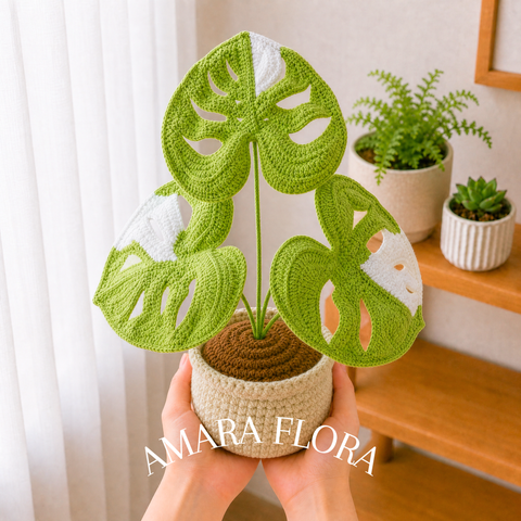 Monstera Plant - White Leaves